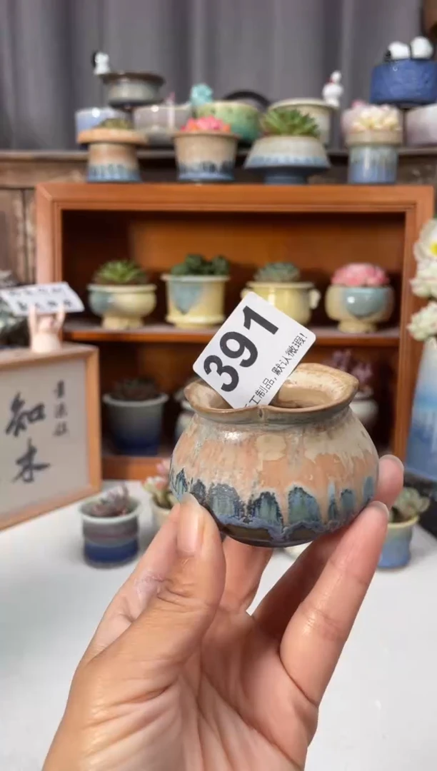 瓷片391小芳直播编号