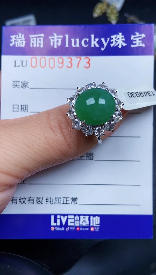 翡翠银S925镶嵌颈饰9373