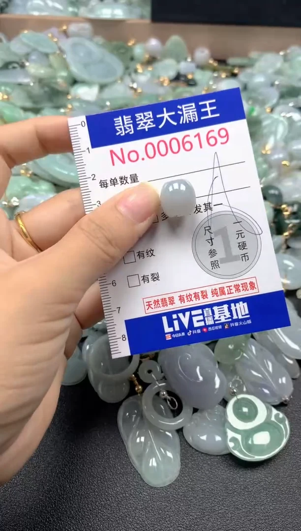 翡翠未镶嵌吊坠(不含链)6169