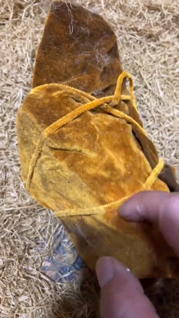 寿山石其他【闪购链接】摆件一个 龙GQ