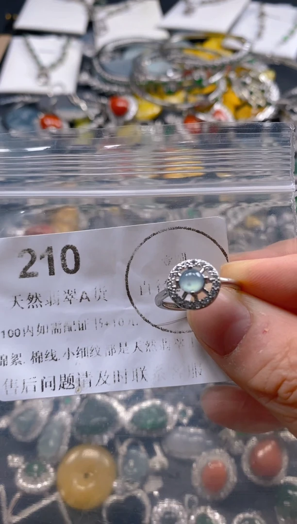 翡翠未镶嵌吊坠(不含链)210