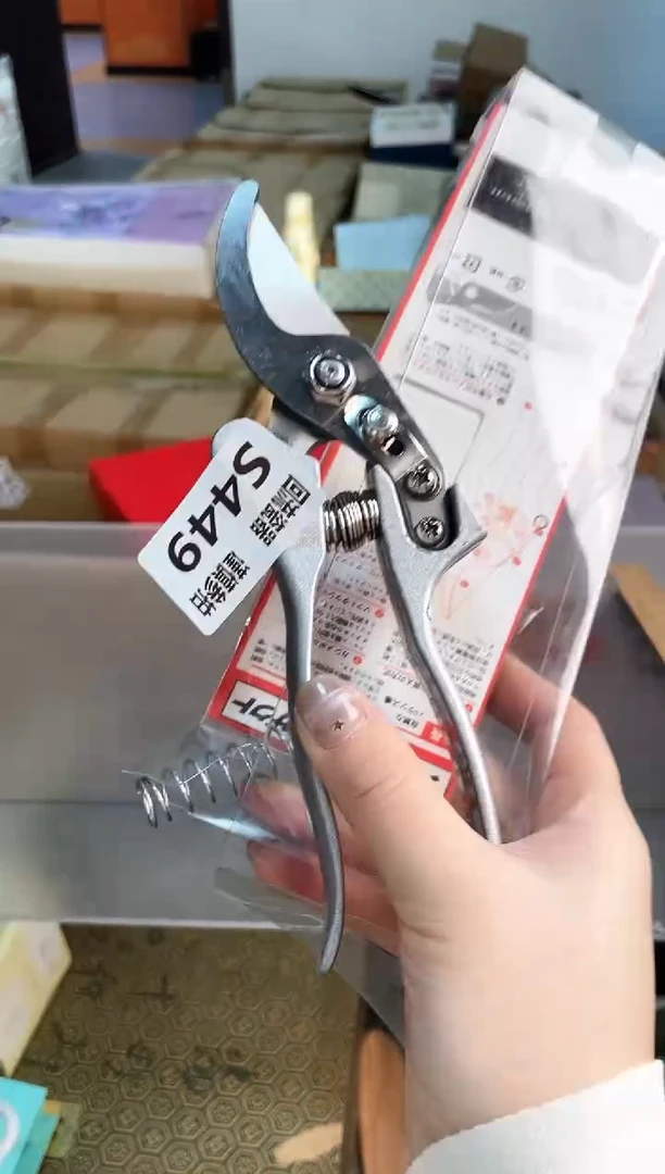 如图所示 五月甄选