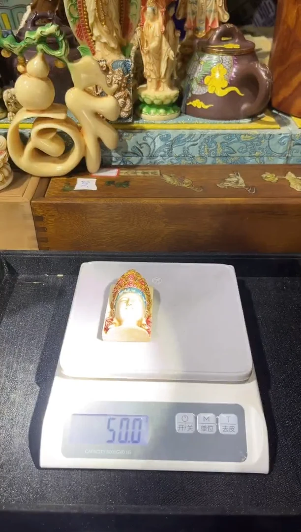 黄杨木1111111111