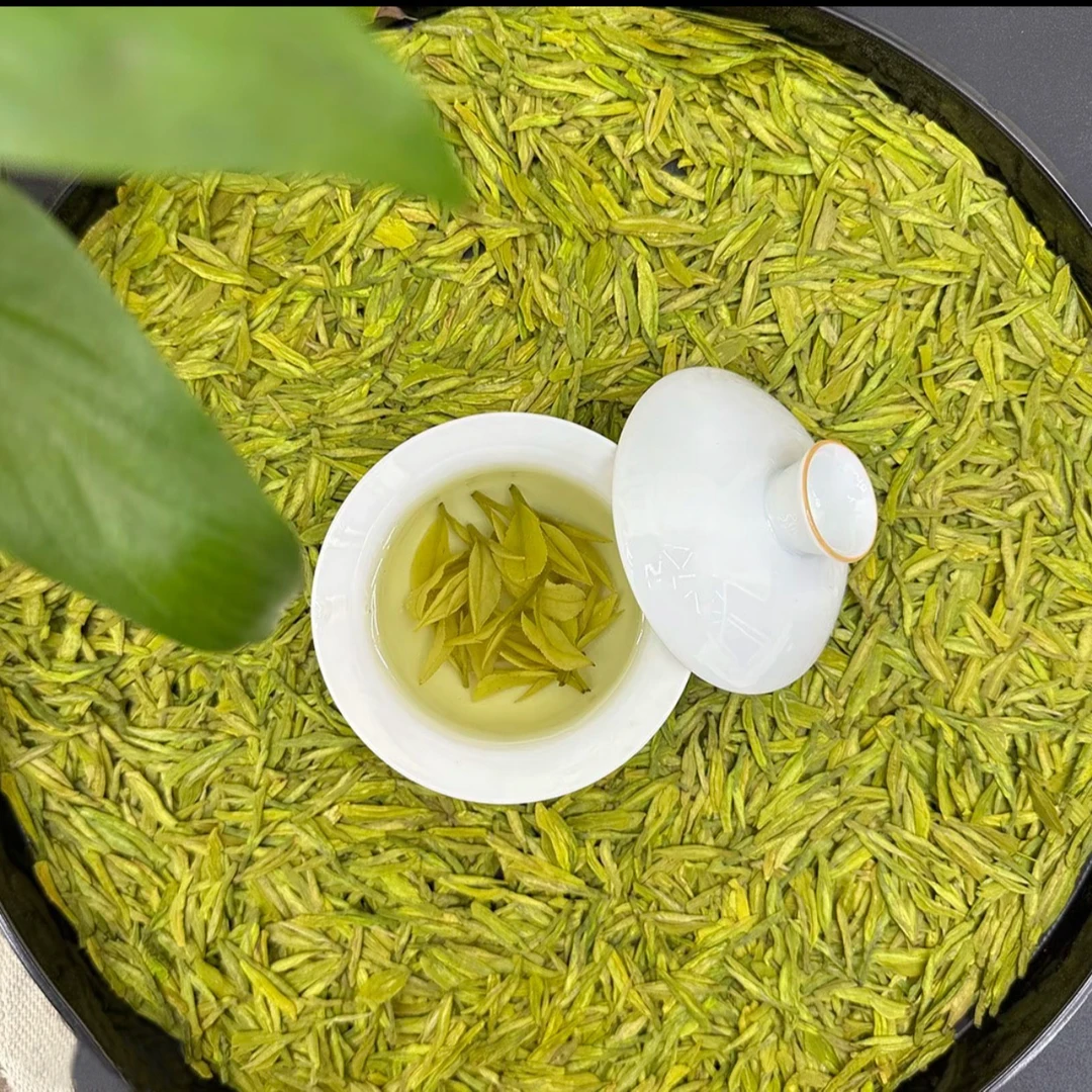 金香玉龙型扁茶 2025新茶 奶香花香 送礼高档茶