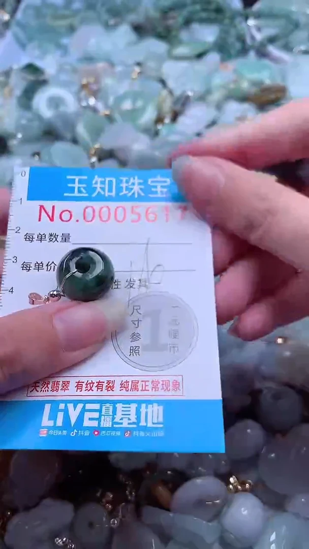 翡翠未镶嵌吊坠(不含链)5617