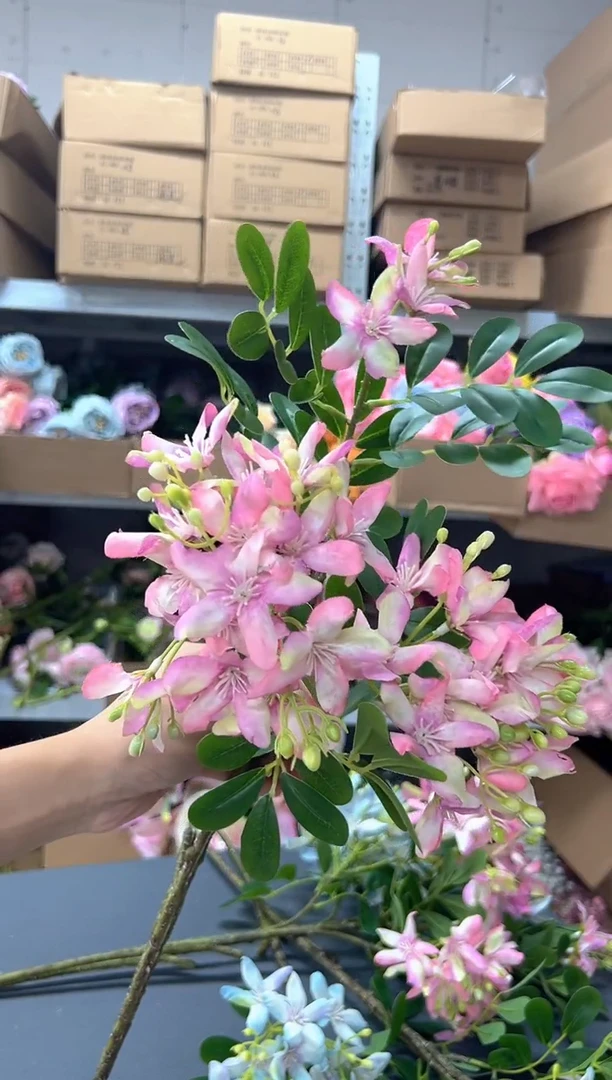 粉色天竺花1枝装