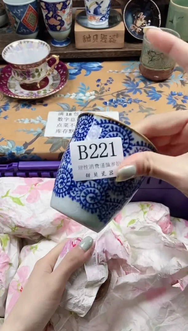 瓷片小*                B221