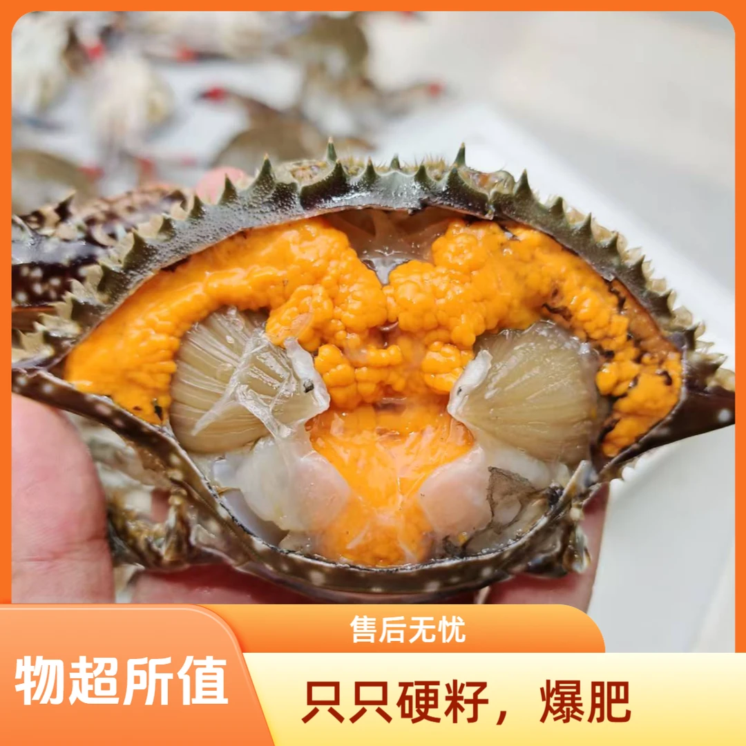 3-4两硬籽大母梭子蟹(保鲜包肥不包活,个别掉夹)精品海鲜梭子蟹同城