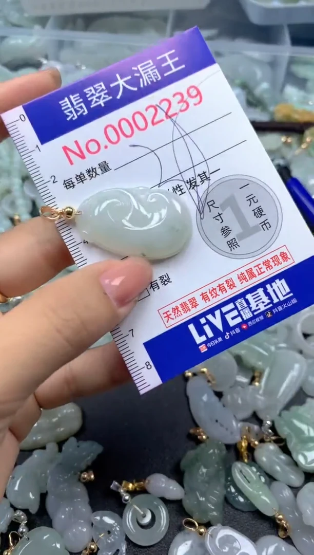 颈饰未镶嵌翡翠2239
