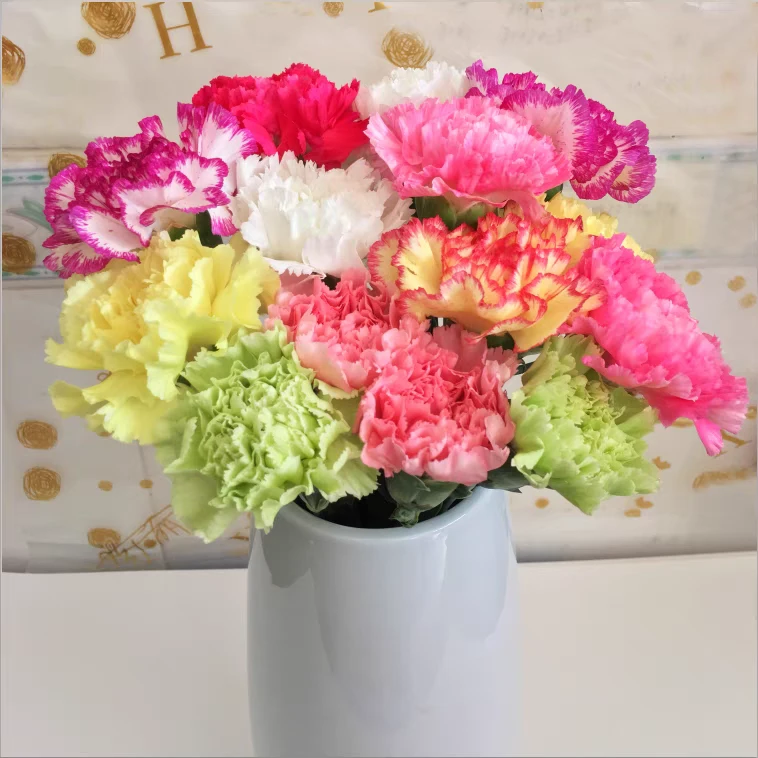 康乃馨云南基地直发水养手捧花任拍两单花顺丰鲜花直播间现场卖花