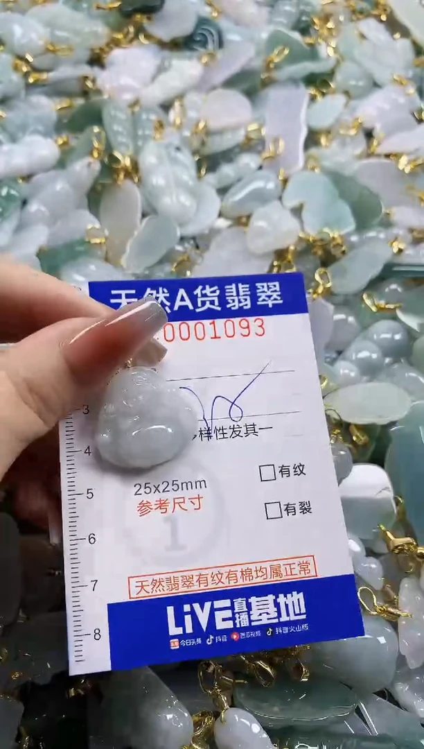 颈饰未镶嵌翡翠天然A货翡翠