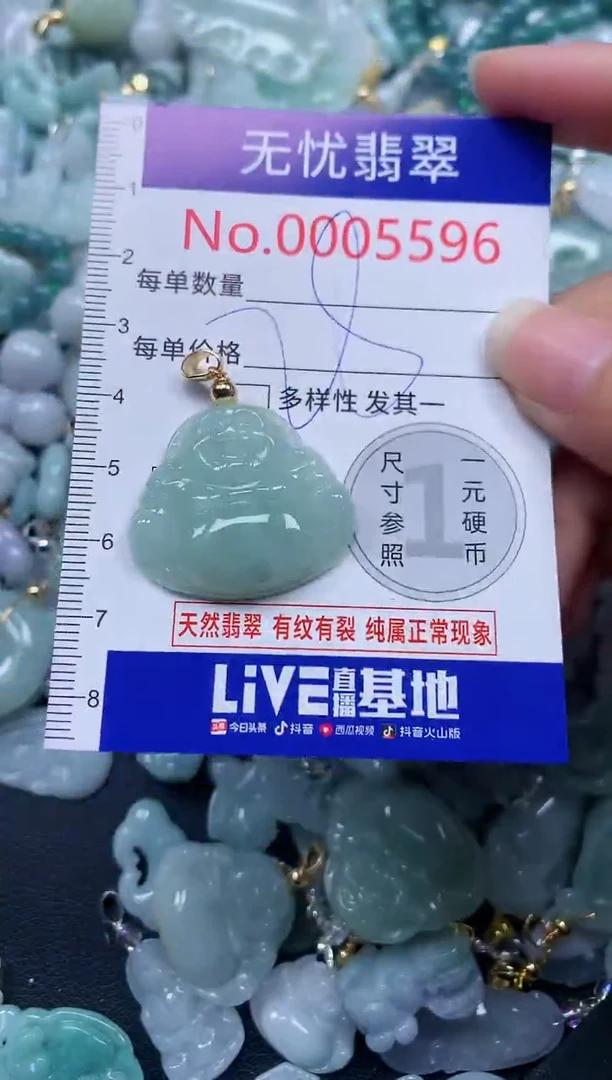 颈饰未镶嵌翡翠5596