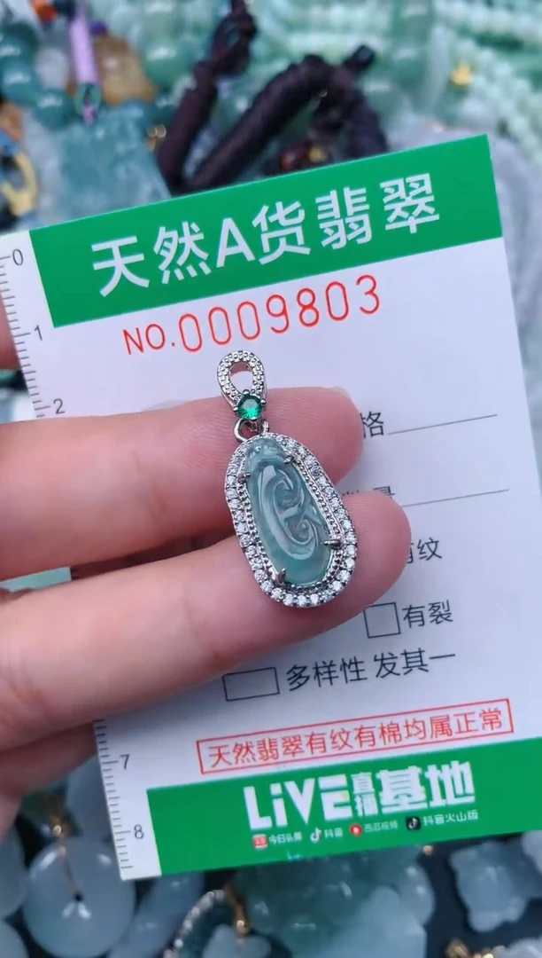 翡翠未镶嵌颈饰.0009803