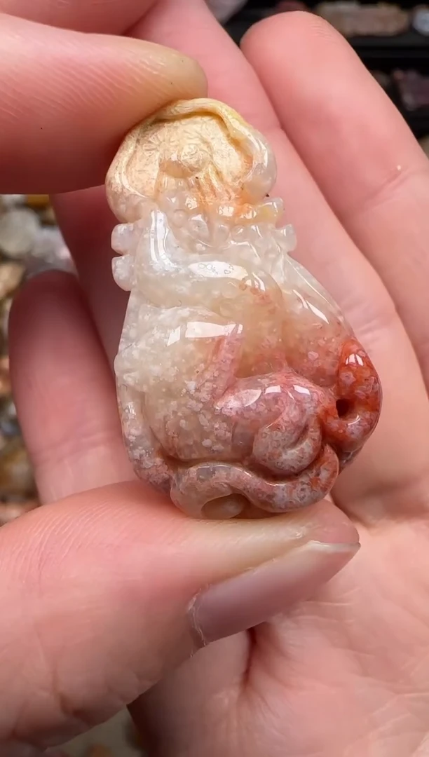 硅化珊瑚（珊瑚玉）未镶嵌颈饰525