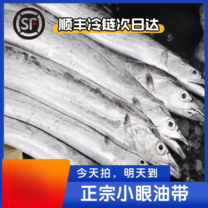 《次日达》《试吃一条》山东日照新鲜小眼鹰嘴油带鱼净重5斤0%包冰率