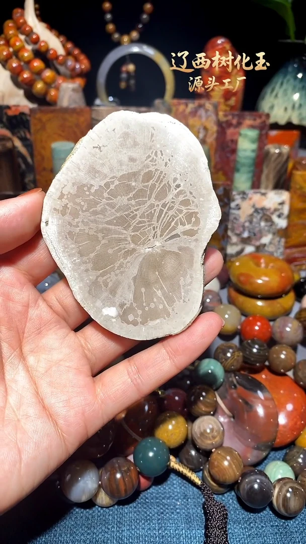 未镶嵌-硅化玉天然北票硅化玉原石