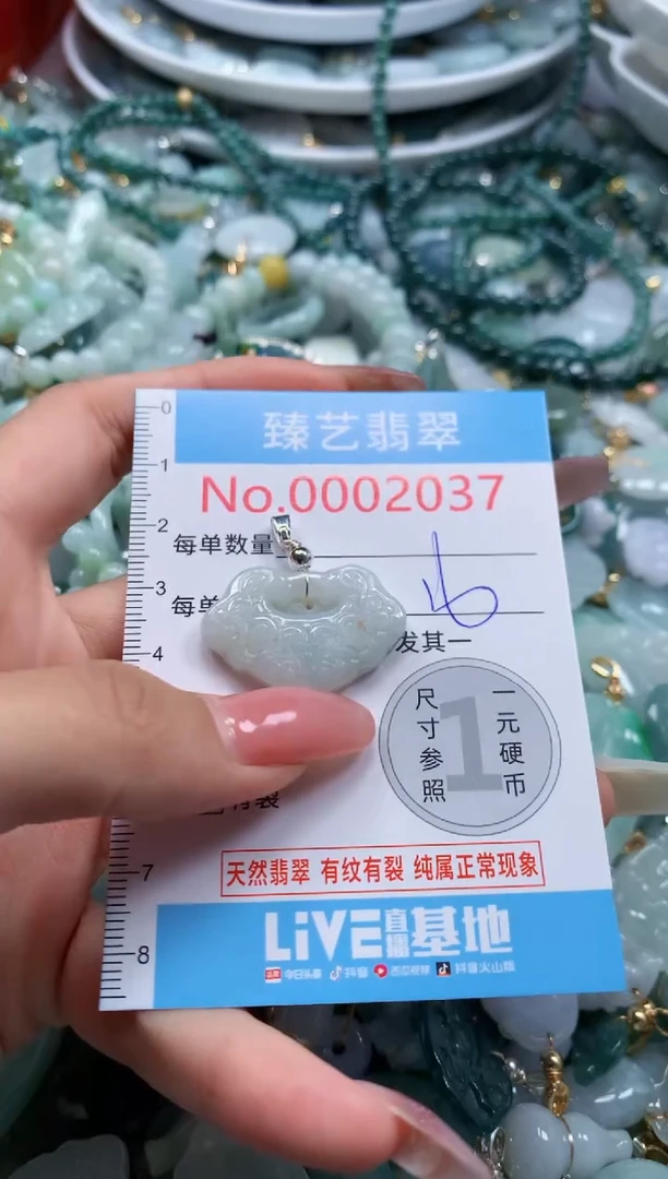 翡翠未镶嵌颈饰2037