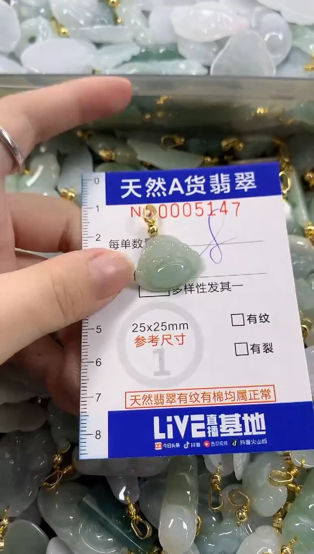 颈饰未镶嵌翡翠天然A货翡翠