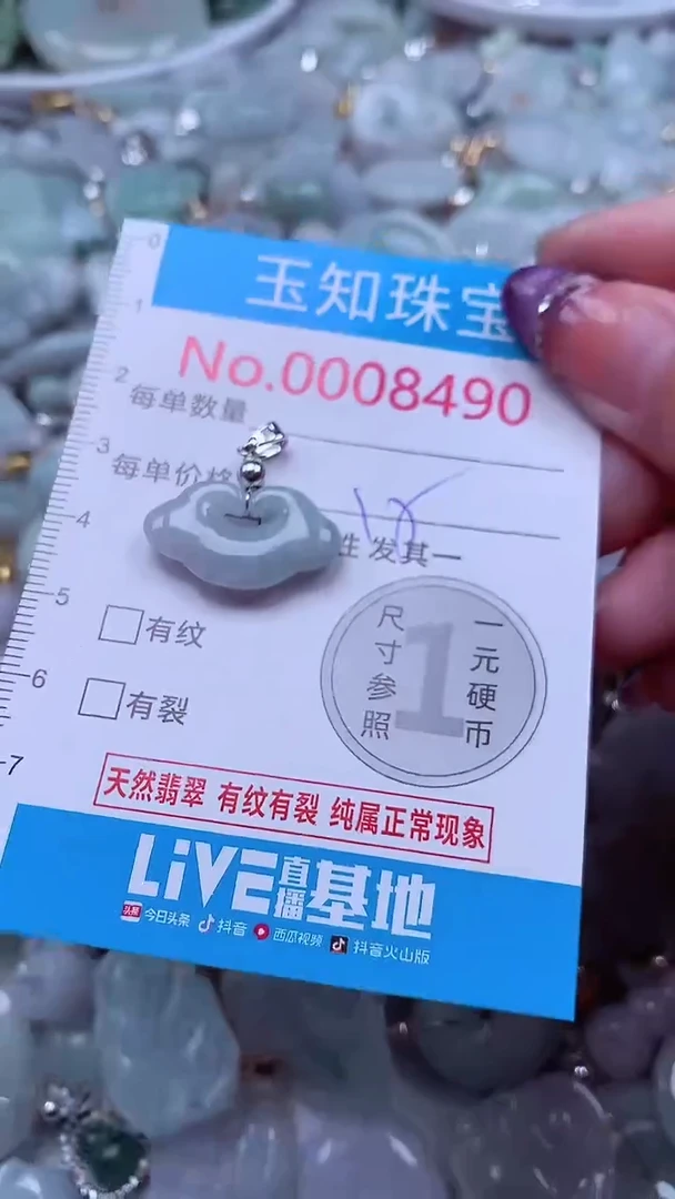 翡翠未镶嵌吊坠(不含链)8490