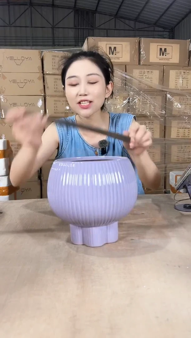 宝莲灯淡紫大号17x19