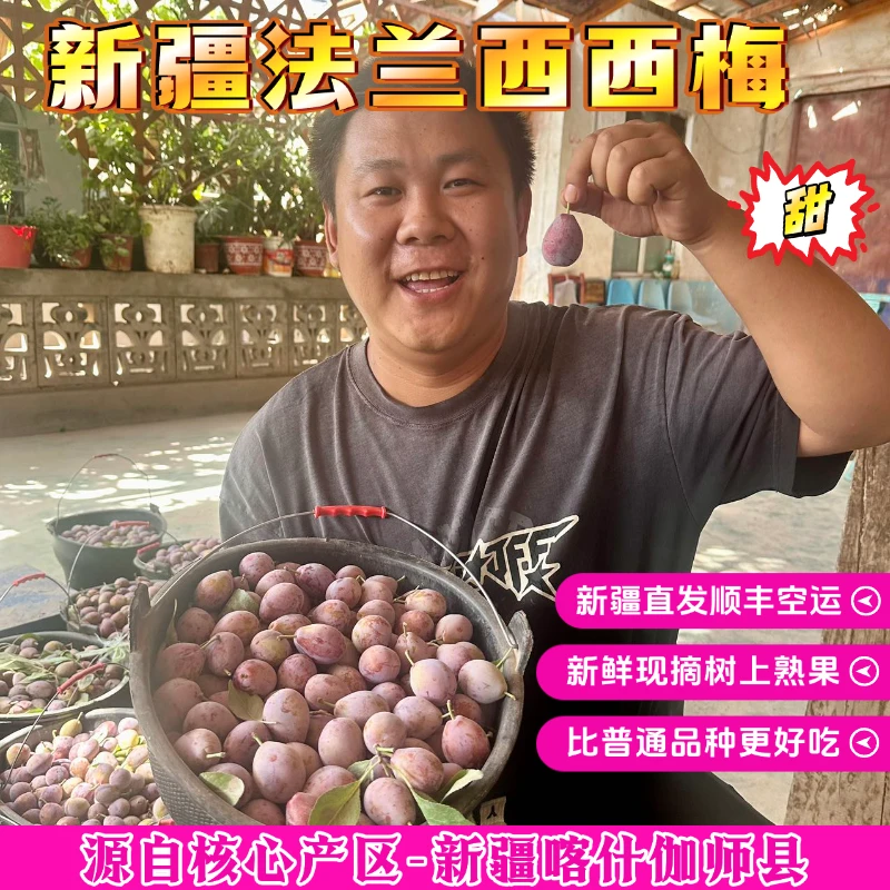 【西梅新疆直发】正宗新疆喀什伽师法兰西西梅香甜多汁应季新鲜水果