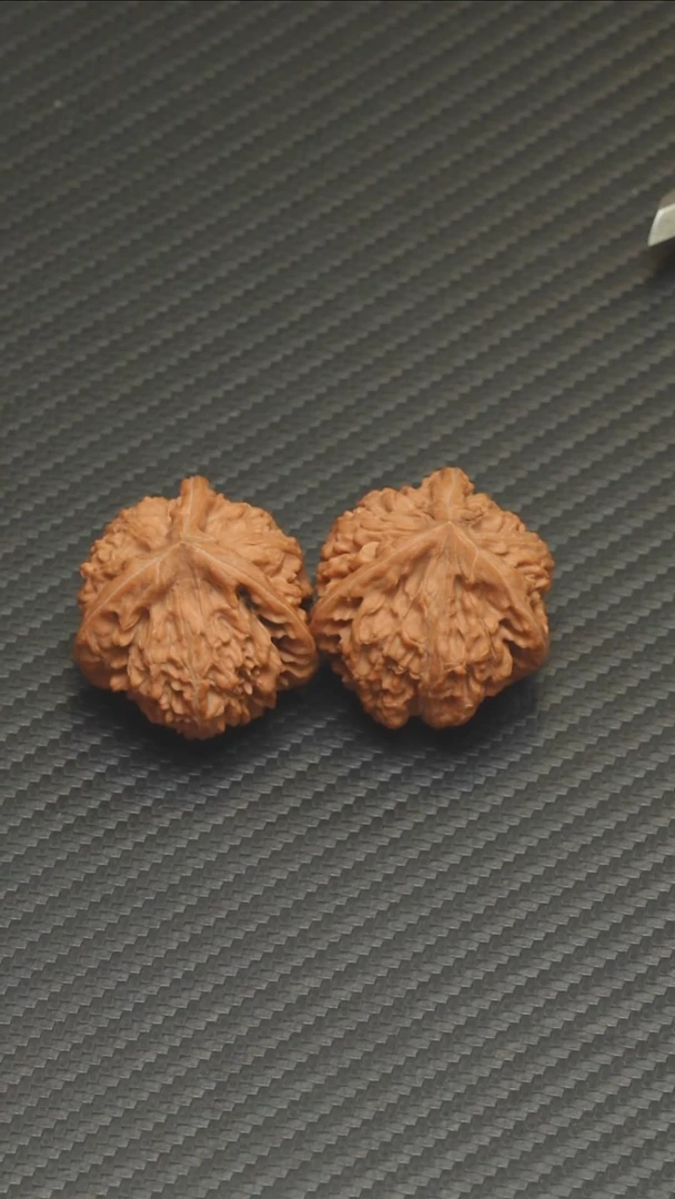 精品御龙粗筋全品42