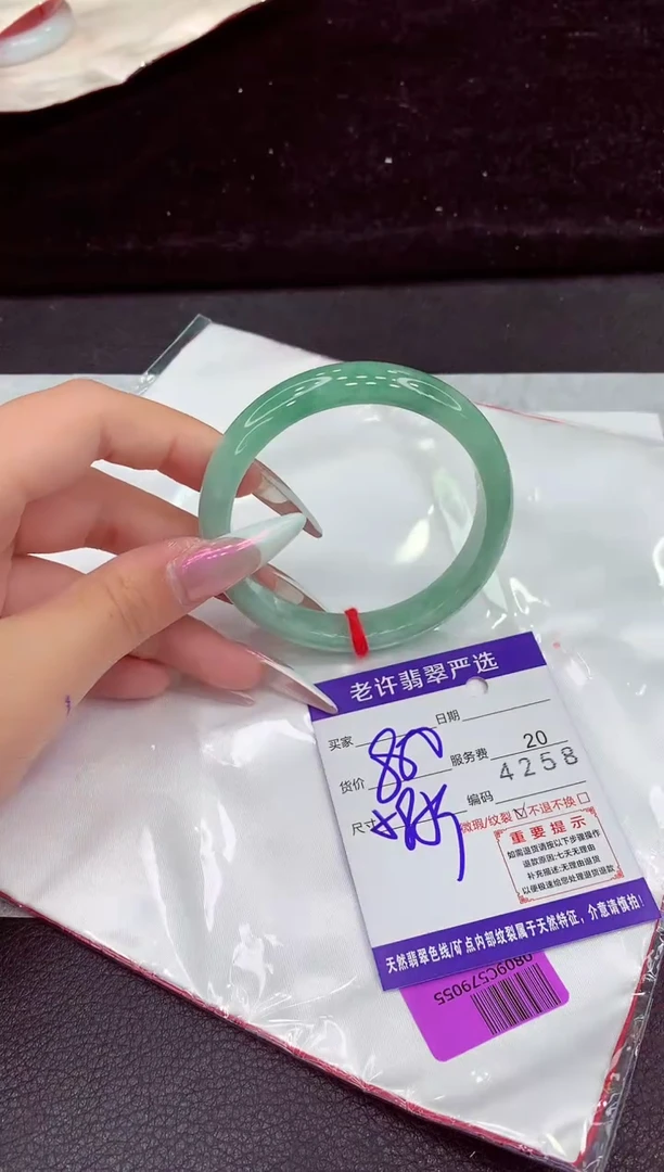 未镶嵌手镯翡翠1