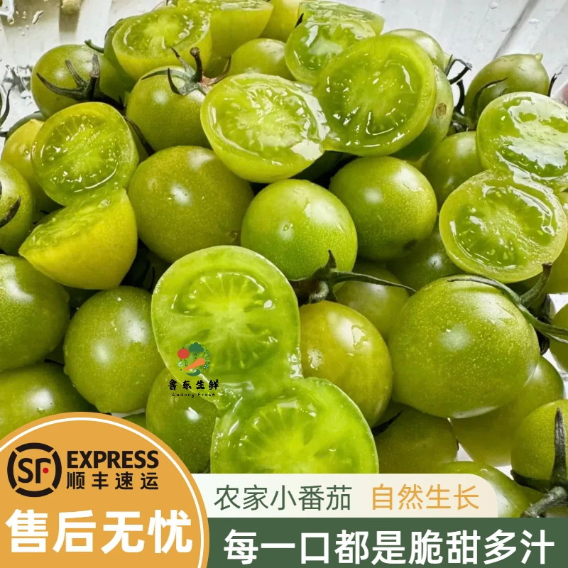 【现货速发】青甜2号小番茄绿宝石圣女果小柿子沙拉水果番茄顺丰