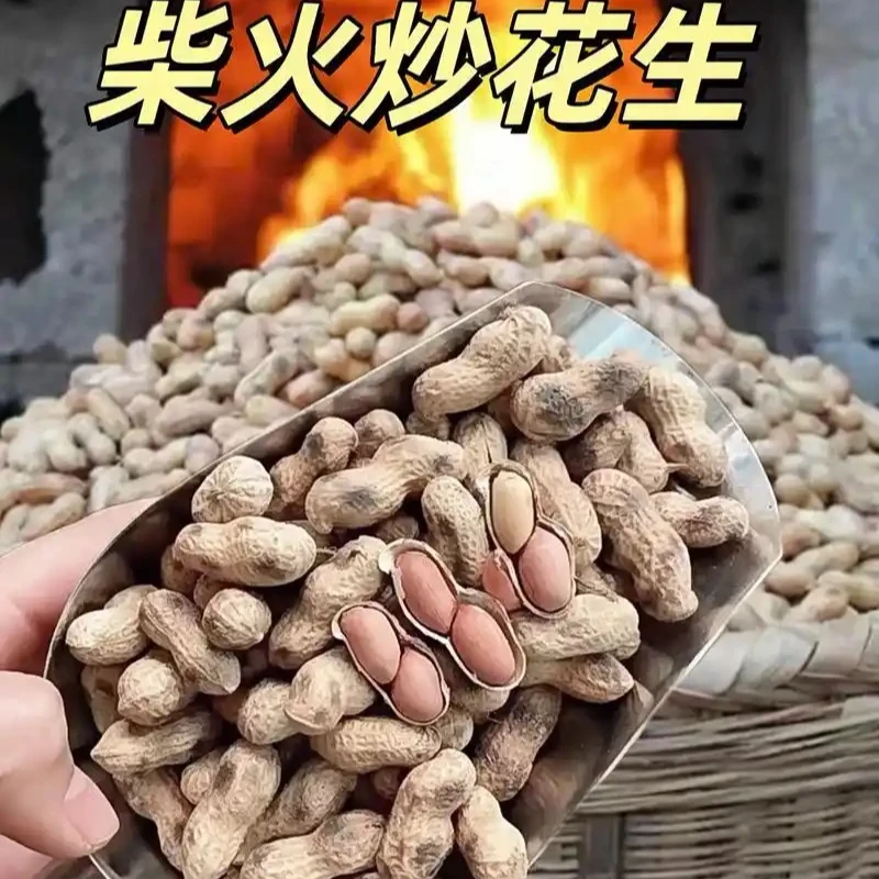 炒花生带壳原味大铁锅柴火炒花生农家手工老式地锅铁锅原味花生