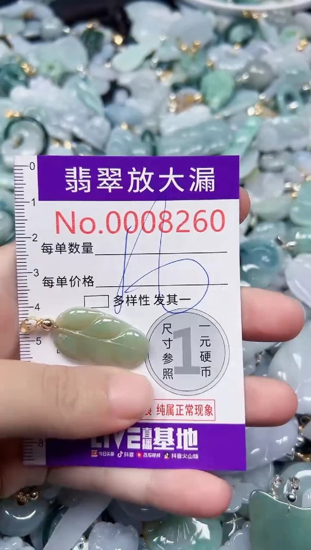 颈饰未镶嵌翡翠8260