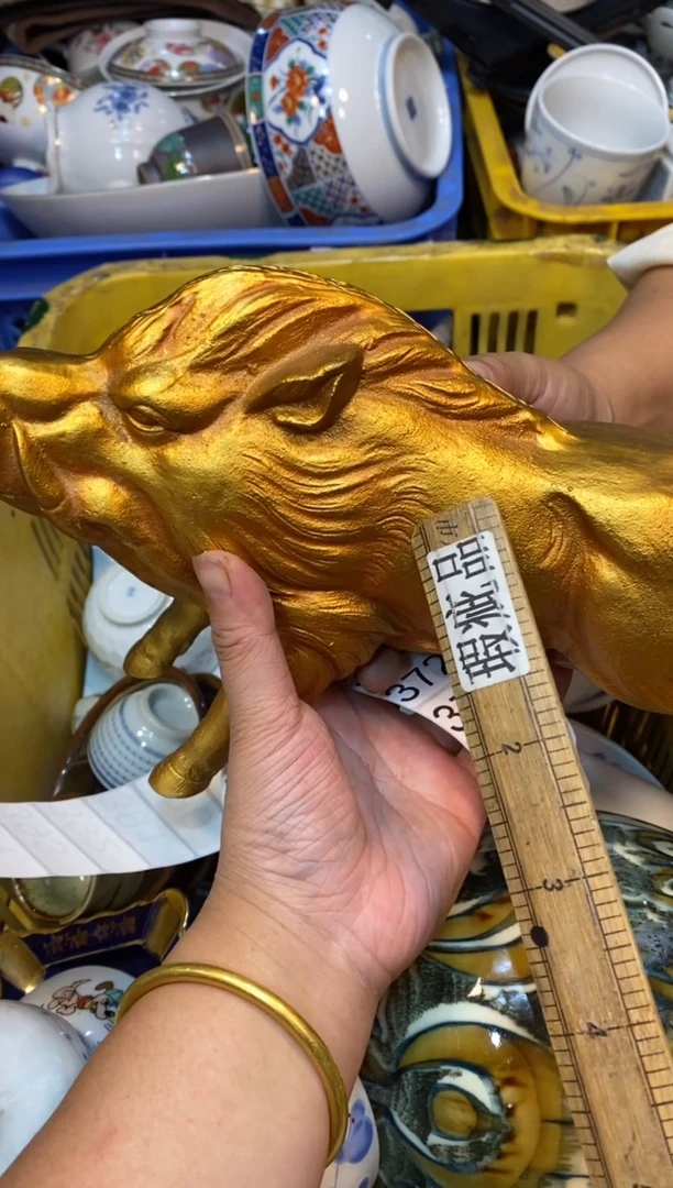 瓷片55555555555555555