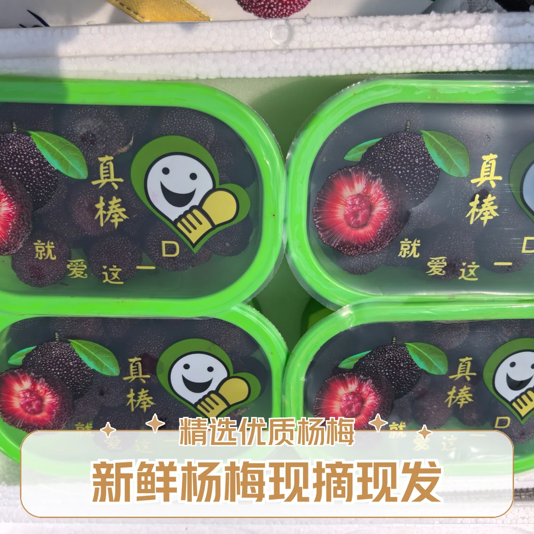 【丁果鲜生】新鲜到货小果礼盒装杨梅四盒装一盒250克新鲜杨梅山东省