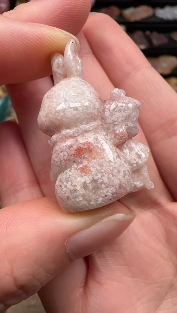 硅化珊瑚（珊瑚玉）未镶嵌颈饰103