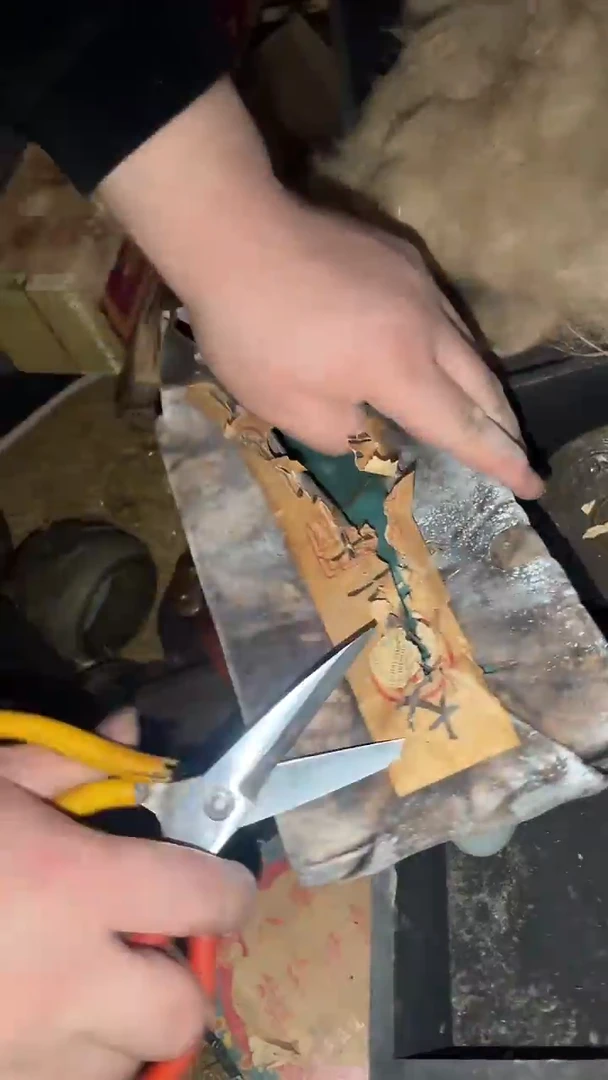 香榧木木木木盒多样性发起一