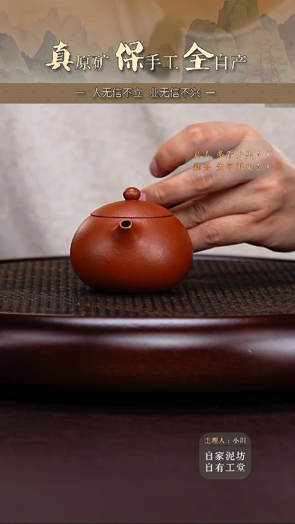 茶壶紫砂红降坡西施