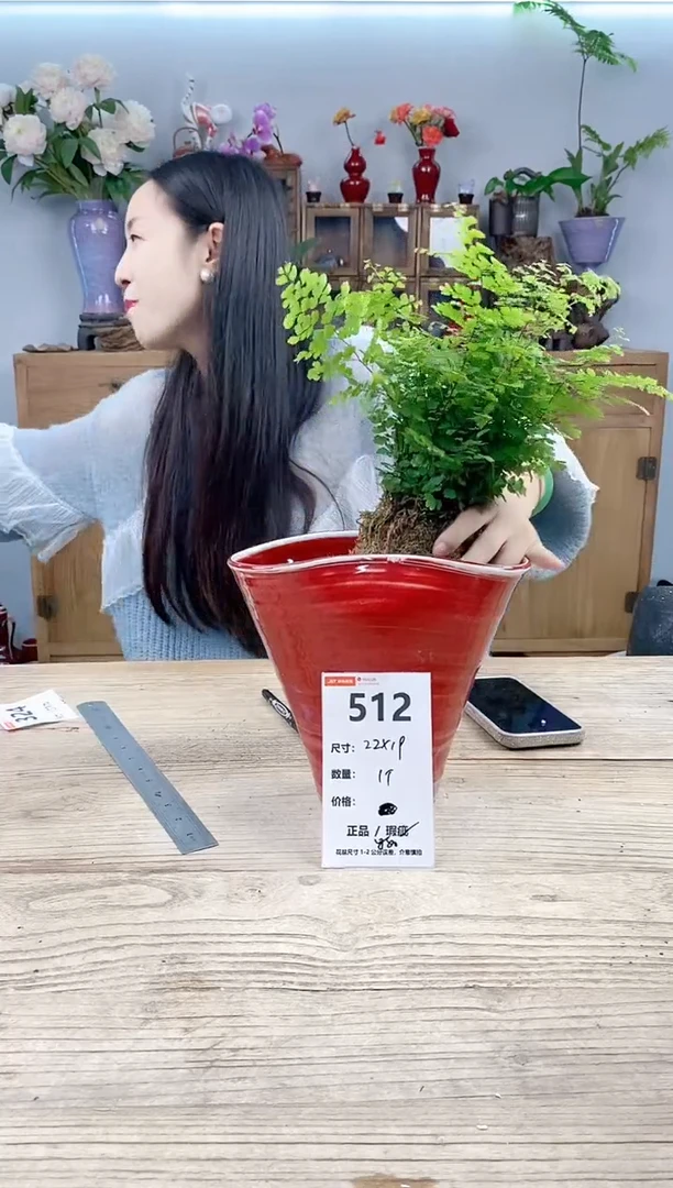 小玩子花盆直播号512