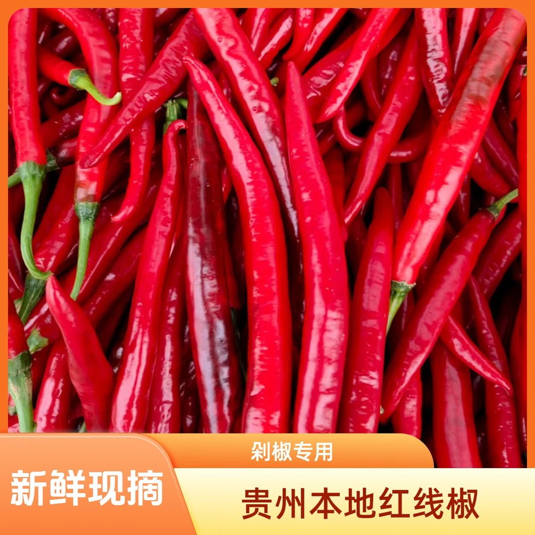 贵州新鲜现摘二荆条辣椒可做剁椒酱