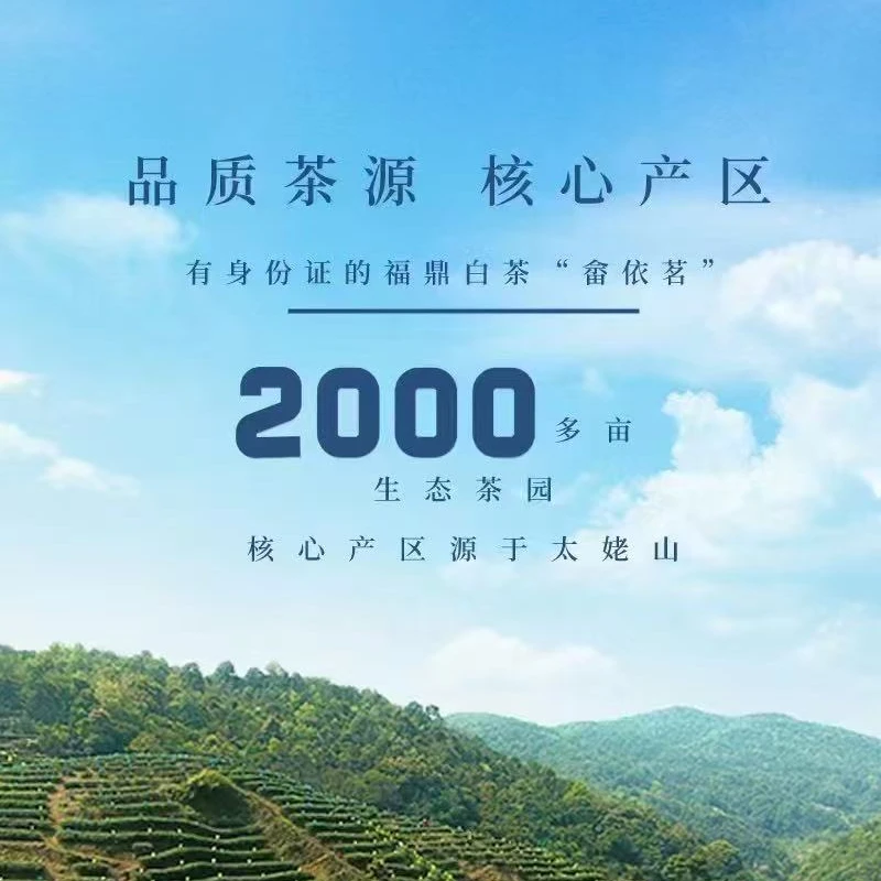 首届发展论坛生态牡丹