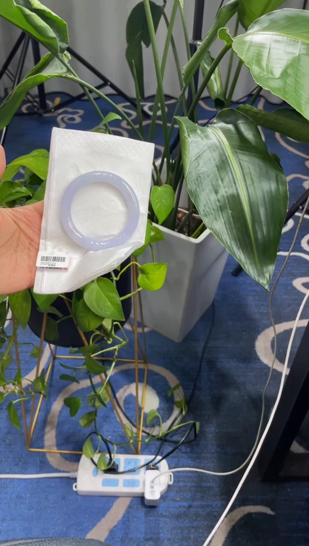 未镶嵌手镯翡翠6873****