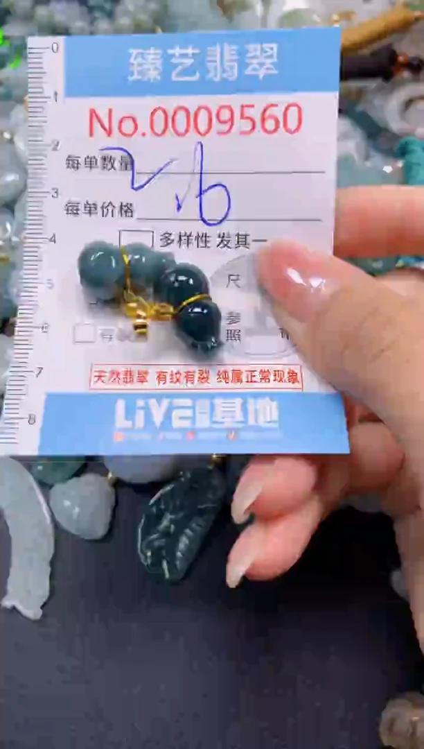 颈饰未镶嵌翡翠9560