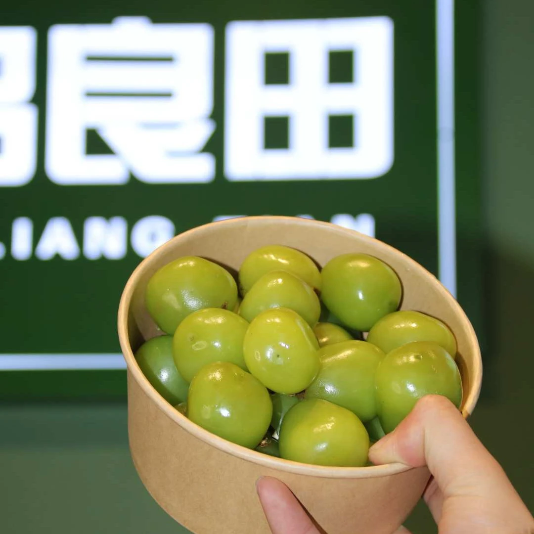 阳光玫瑰 一盒装（不低于450g左右0