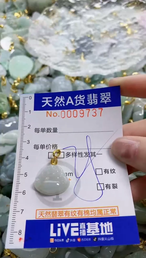 颈饰未镶嵌翡翠天然A货翡翠