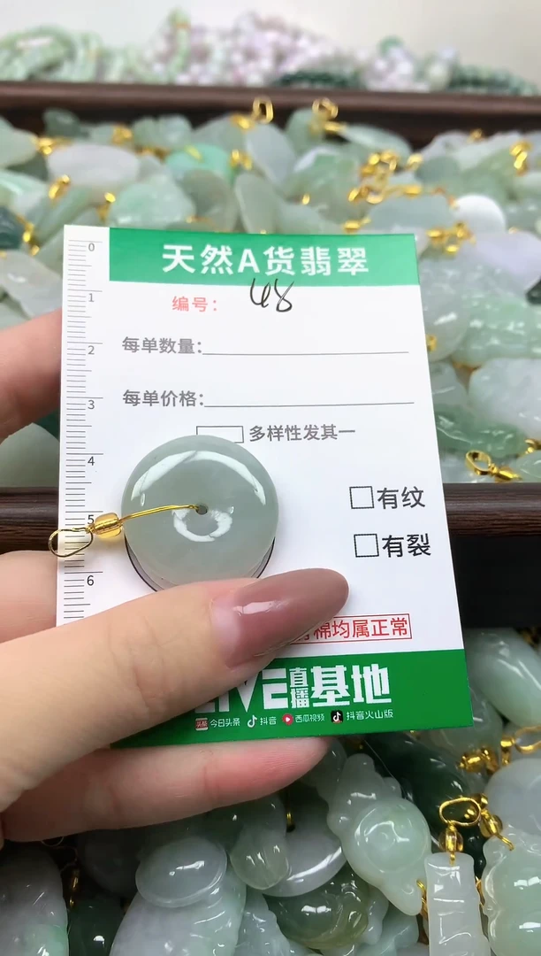 颈饰未镶嵌翡翠纯天然缅甸A货翡翠-48