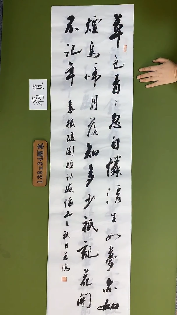 书法书法 张若鸿 尺寸138cm*34cm