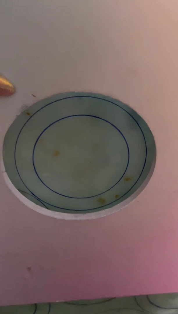 未镶嵌手镯定制翡翠D***y定制手镯AJC3/DZS