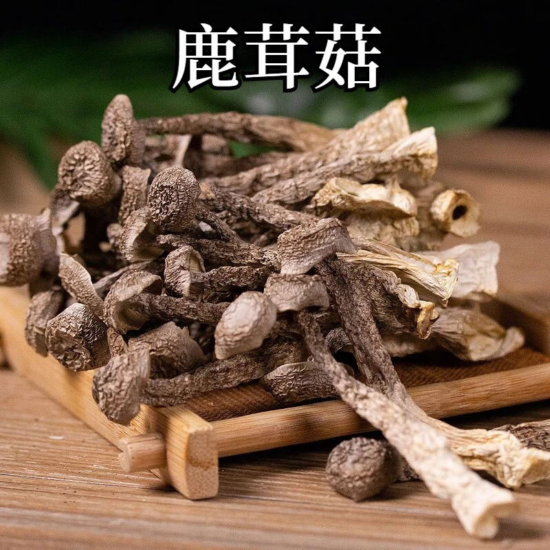 鹿茸菇干货新货鹿茸菌脆脆菇煲汤炒菜 500克/鹿茸菇