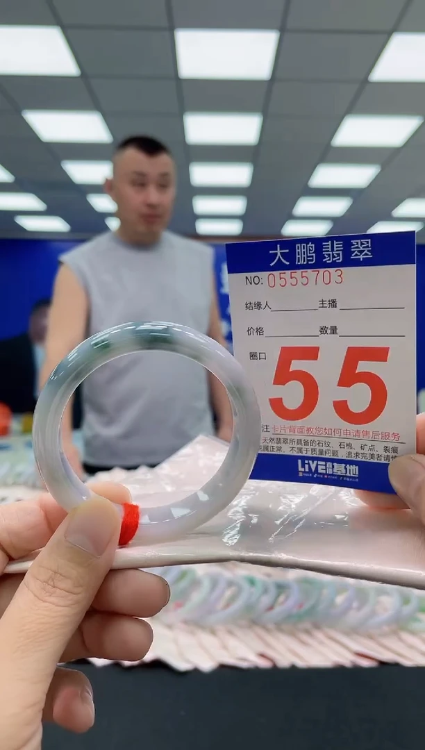 未镶嵌手镯翡翠AAAAAAAAA