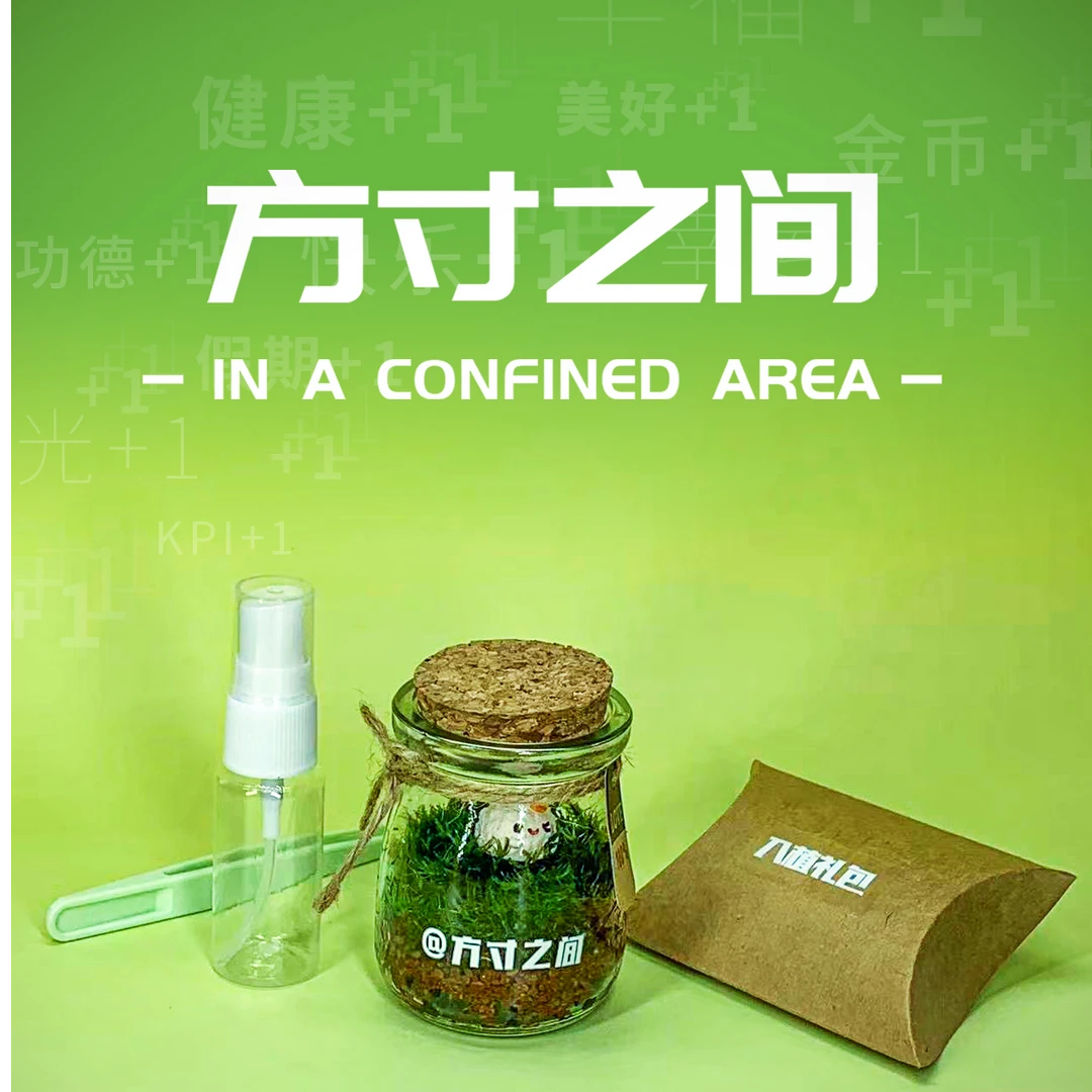 方寸之间-粽意你中意你创意礼物苔藓七夕节礼物送女友