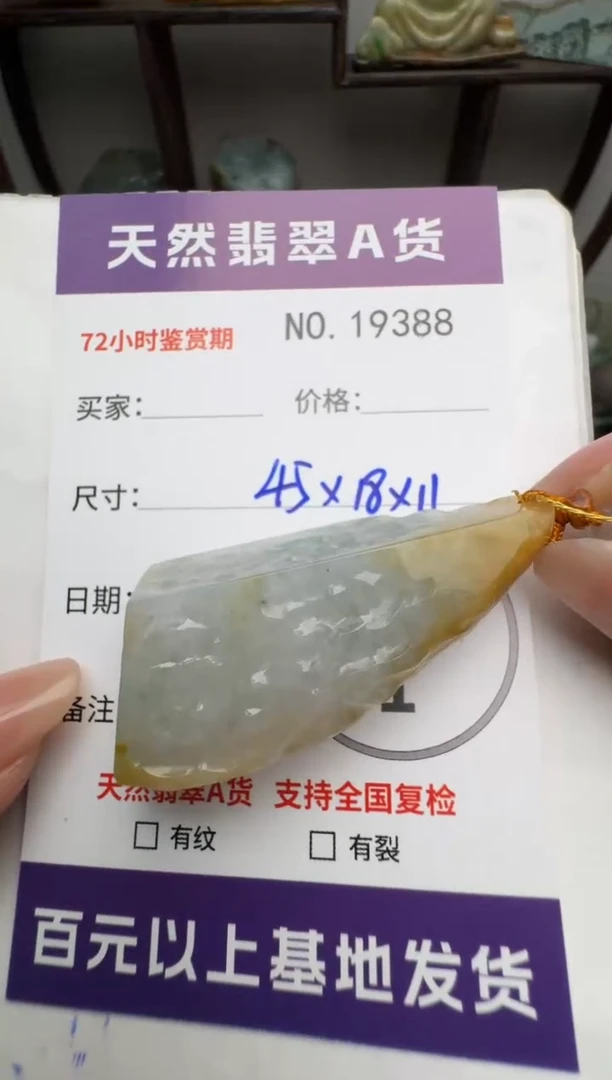 【闪购商品】翡翠颈饰未镶嵌原石19388