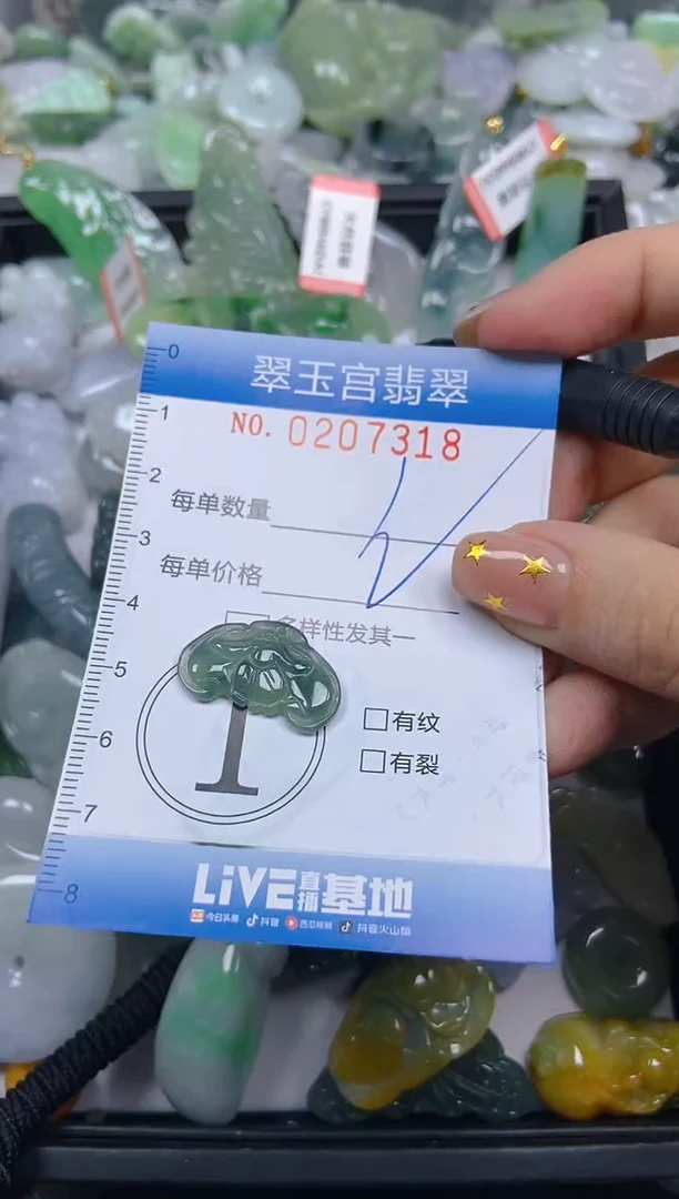 颈饰未镶嵌翡翠闪购C0207318